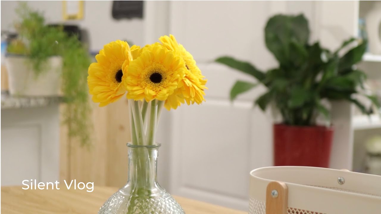 Daily life | My Slow Life In America | Simple Dinner | Grocery Shopping | Slow Living Vlog