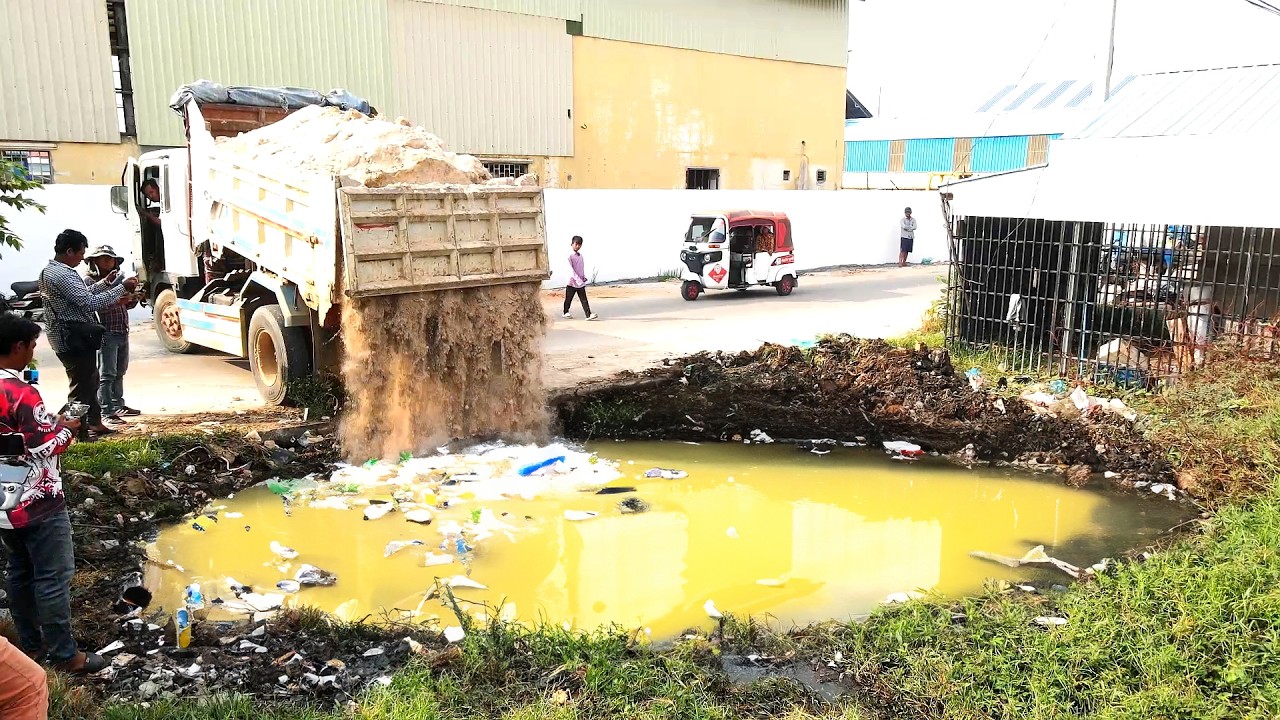 Complete the activity of filling the site with perennial aquatic plants and solid waste by machinery