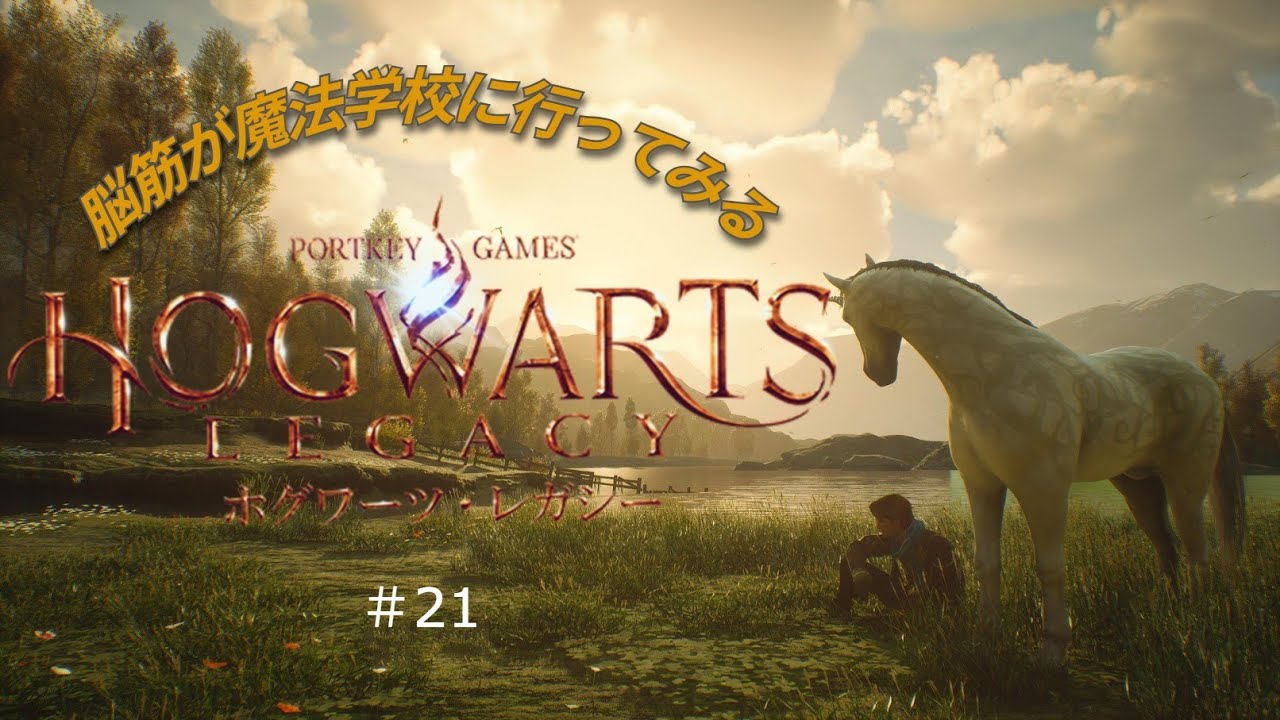 ホグワーツ・レガシー　脳筋が魔法学校行ってみる[Hogwarts Legacy]