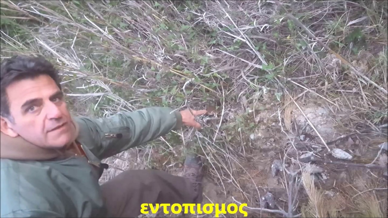 ΚΟΡΙΝΘΙΑ ΣΥΛΛΗΨΗ ΕΠ ΑΥΤΟΦΟΡΩ