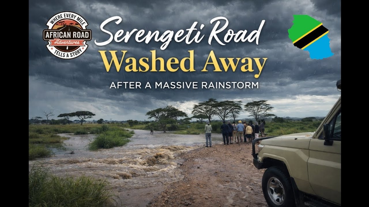 Flash Flood in Serengeti! Safari Road Washed Away After Massive Rainstorm