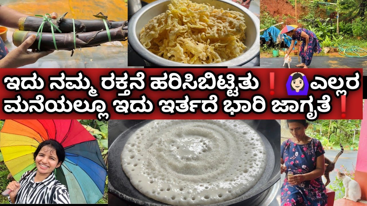 ಇದು ನಮ್ಮ ರಕ್ತನೆ ಹರಿಸಿಬಿಟ್ಟಿತು❗🙆🏻‍♀ಎಲ್ಲರ ಮನೆಯಲ್ಲೂ ಇದು ಇರ್ತದೆ ಭಾರಿ ಜಾಗೃತೆ❗| Kannada vlogs |