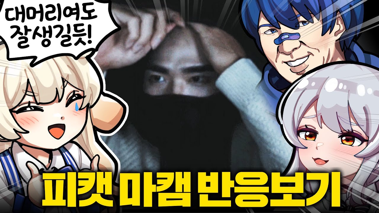 피아노캣 첫 캠방송을 본 스트리머들 반응ㅋㅋㅋ😂