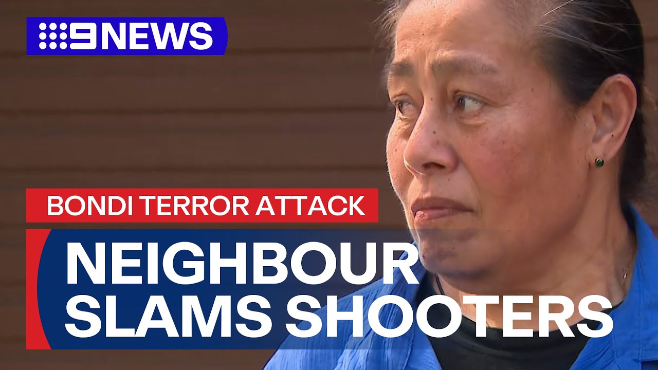 Neighbour of Bondi gunmen describes pair as 