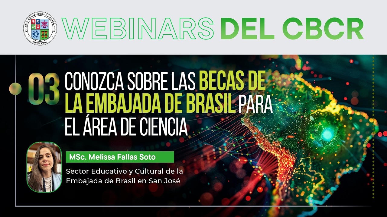 Becas embajada de Brasil