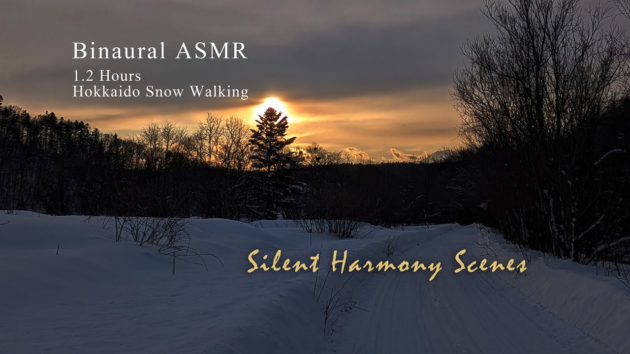 [Binaural ASMR] 83 Minutes of Deep Snow Walking in Hokkaido | Sunset Forest, No Music