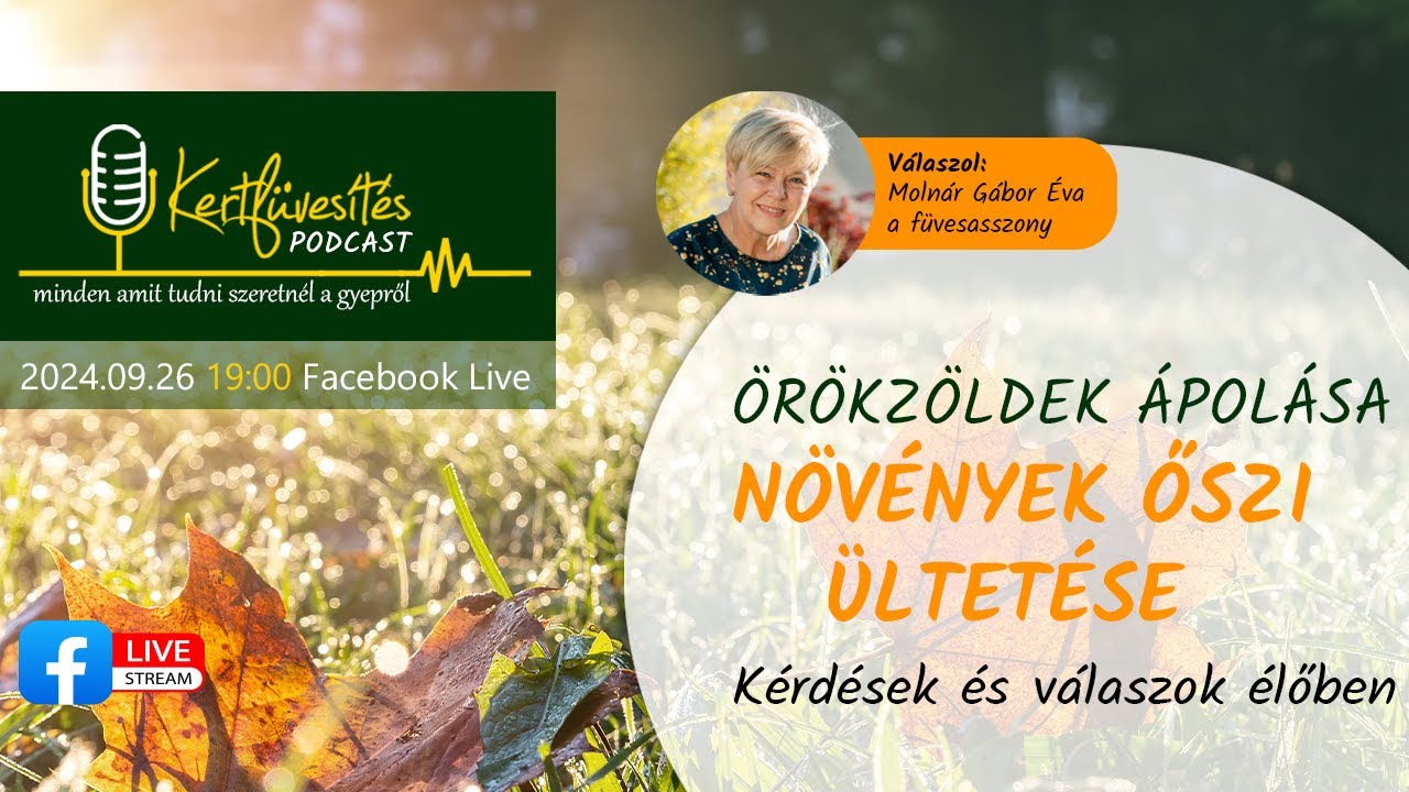 Kertfüvesítés Podcast #3 - Örökzöldek ápolása, Növények őszi ültetése (2024.09.26)
