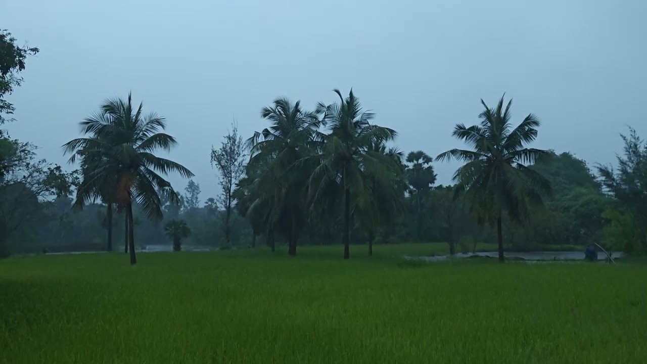 Natural rain and sleep