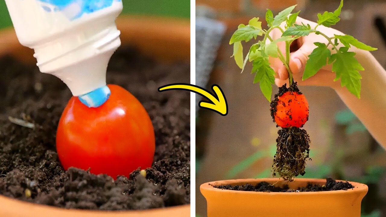 Simple Secrets for Blooming and Green Garden