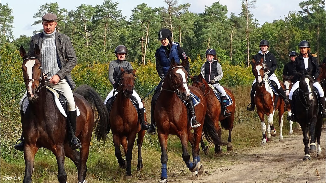 HUBERTUS Stajnia Grzybowice gmina Skoki 2020