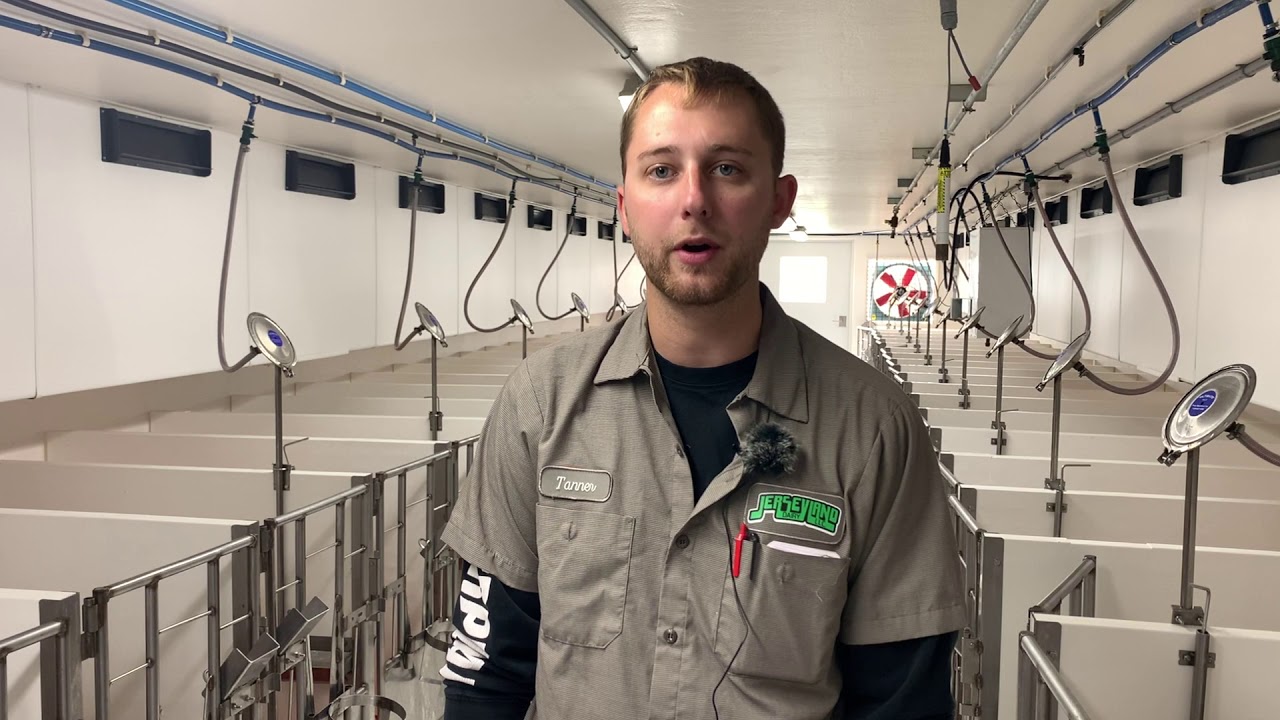 Why you want to raise your calves in a temperature controlled environment.