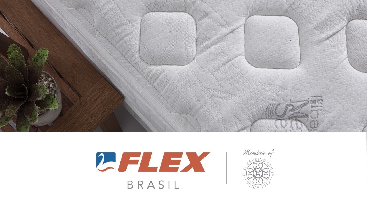 V&iacute;deo institucional Flex Brasil