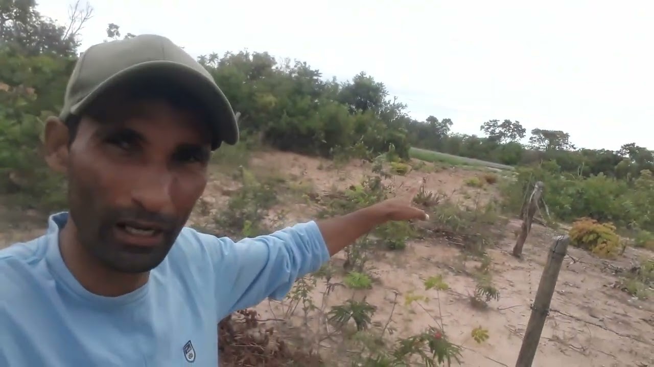 Vendo esse lote no ranchinho 