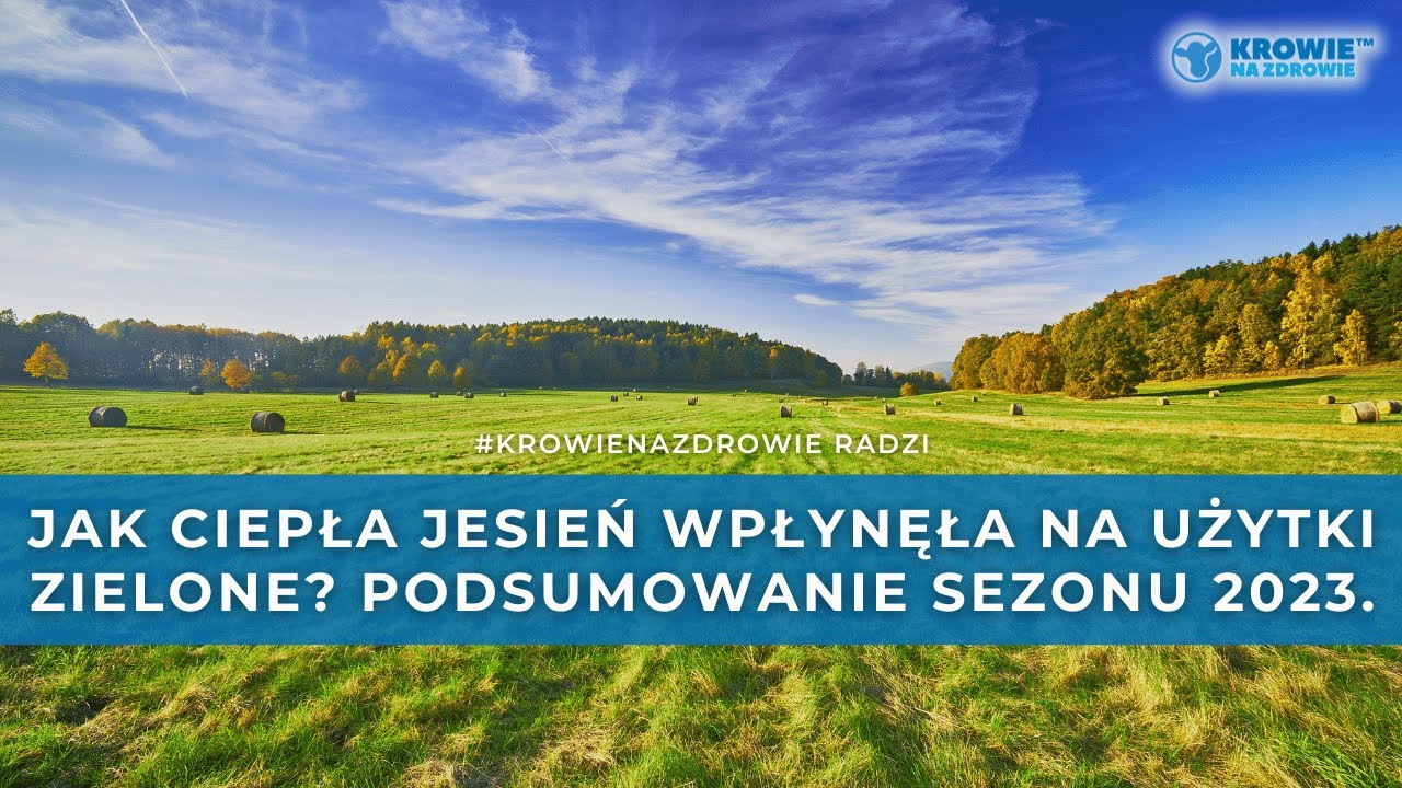 Jak CIEPŁA JESIEŃ wpłynęła na użytki zielone? Co jeszcze zrobić przed zimą? Krowie Na Zdrowie radzi