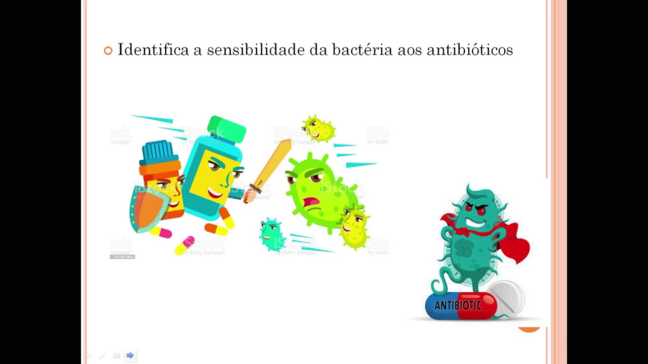 Antibiograma