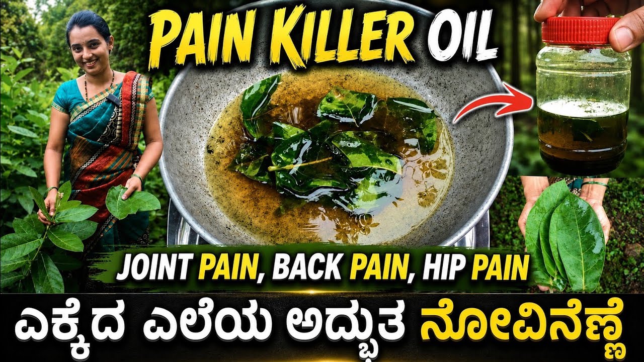 ಈ ಗಿಡದ ಎಲೆ ಎಲ್ಲಿ ಸಿಕ್ಕರೂ ಬಿಡಬೇಡಿ | ಸೊಂಟ, ಮಂಡಿ, ಬೆನ್ನು ನೋವನ್ನು ತಟ್ಟನೆ ಕಮ್ಮಿ ಮಾಡುತ್ತೆ | ekkada ele oil