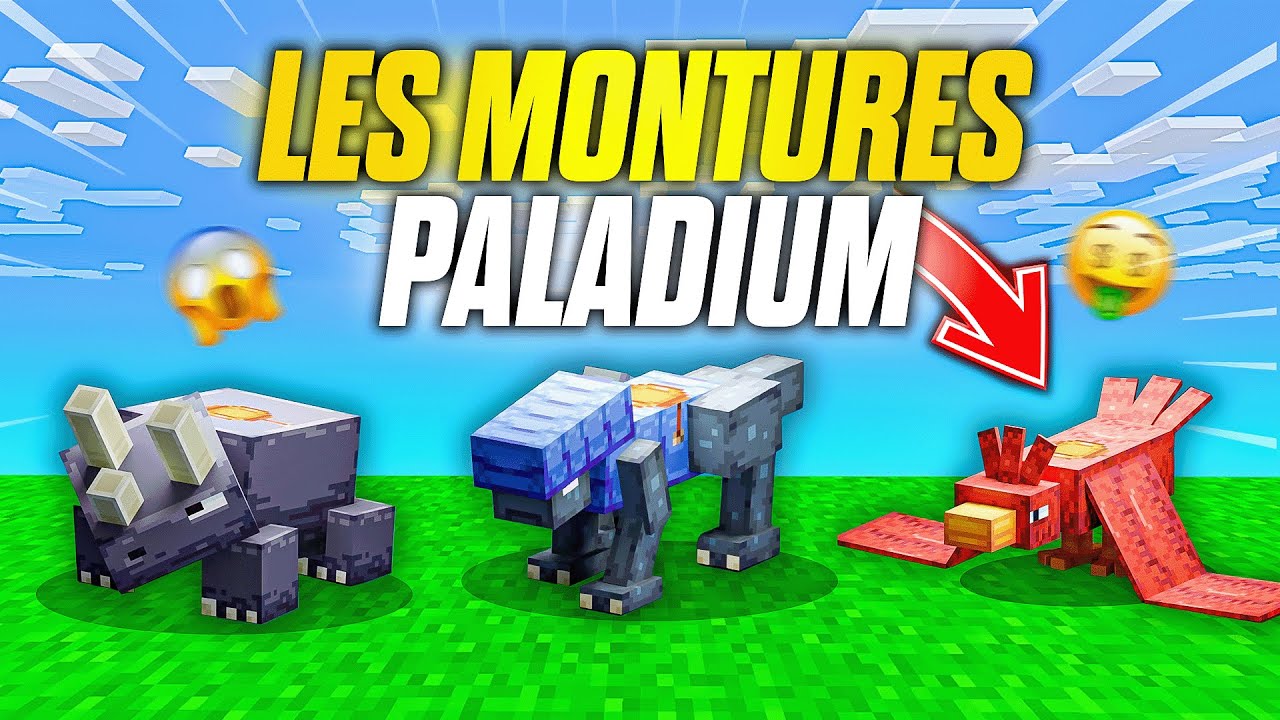 J'ai TESTÉ les MONTURES sur Paladium ! - Épisode 29 | Paladium V8.5