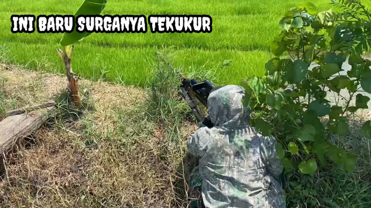 BERBURU || SPOT TEKUKUR YANG TIDAK ADA HABISNYA AUTO FUL POIN
