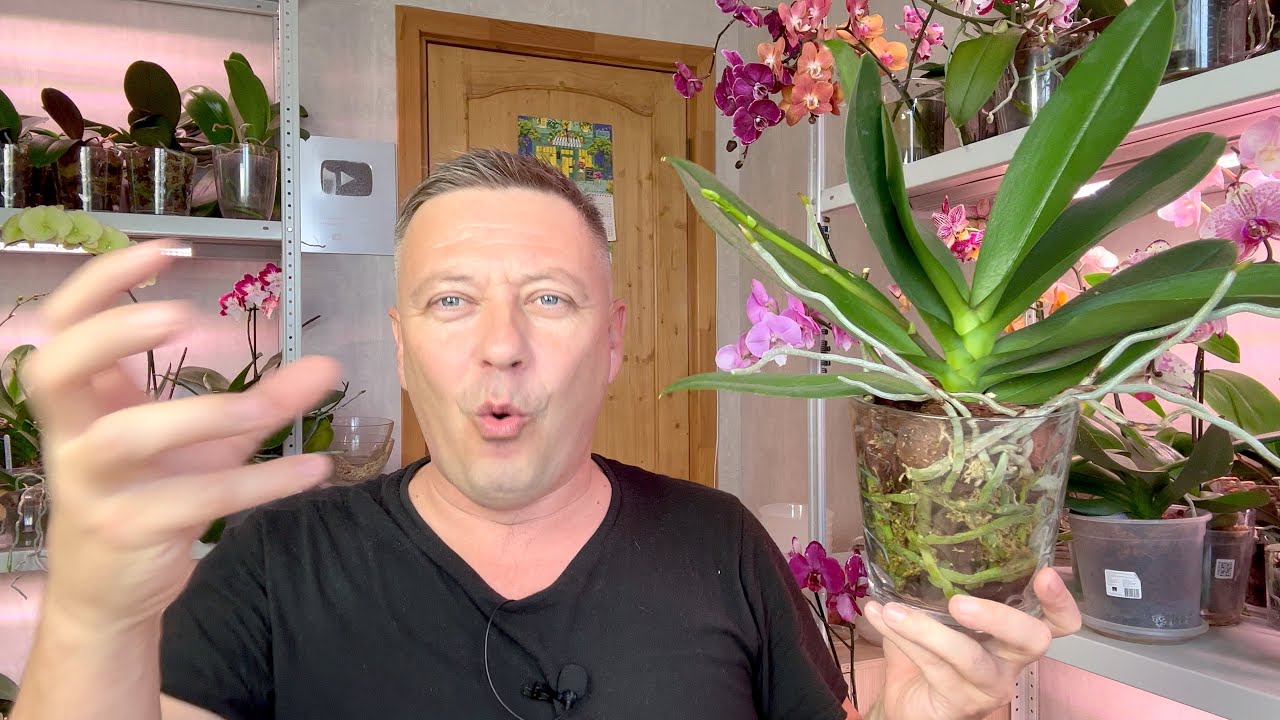 какой ЛУЧШИЙ ГРУНТ для орхидей и САМЫЙ оптимальный уход за орхидеей