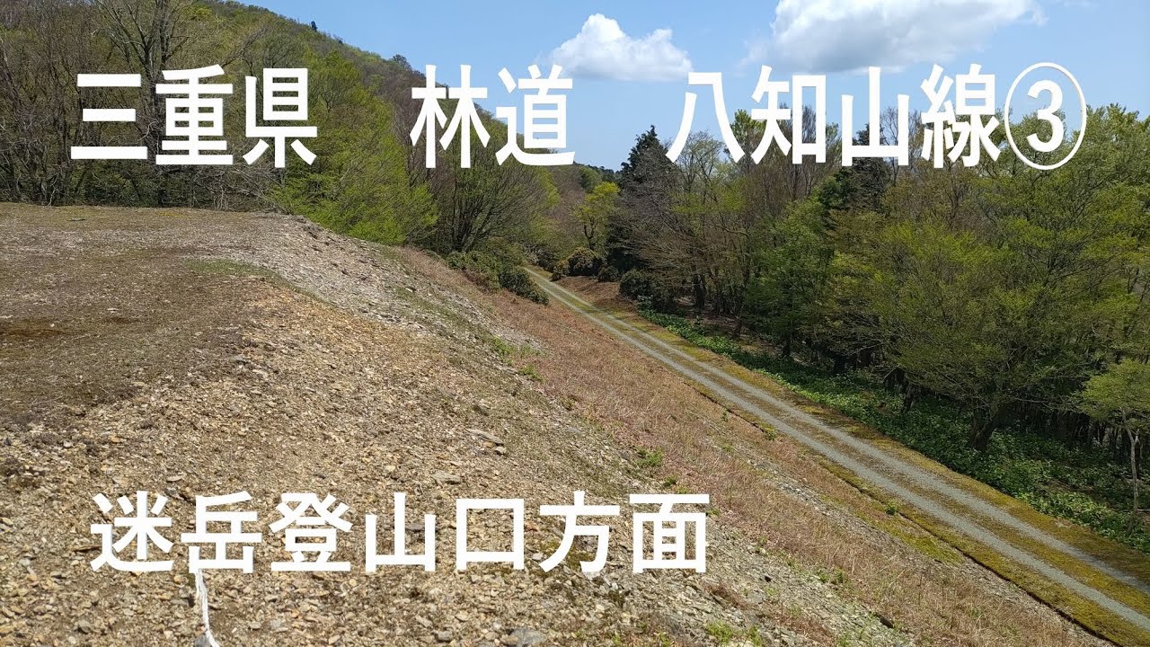 三重県　林道　八知山線③　迷岳登山口方面　Suzuki GSX150 Bandit　2024年4月