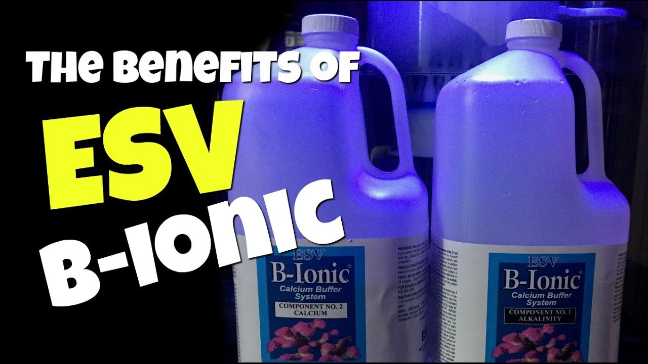 The Benefits of EVS B-Ionic in a Saltwater Aquarium
