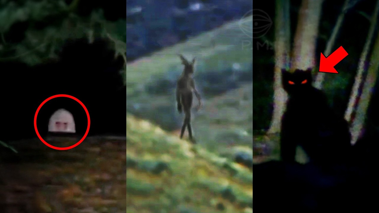 15 Videos de Terror Real en los MONTES APALACHES | PARTE 5