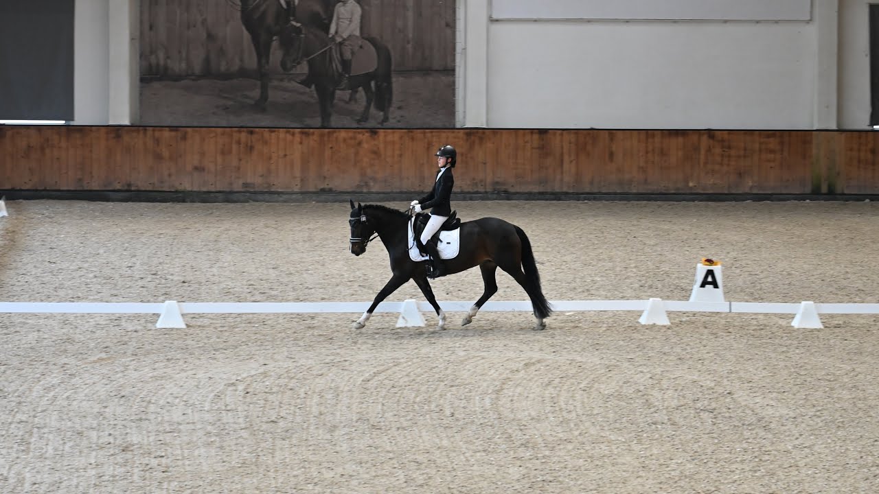 Kinga Rostkowska & ANAPON CHERRY  HPP Juniorzy Młodsi na kucach  Barłomiono 2026