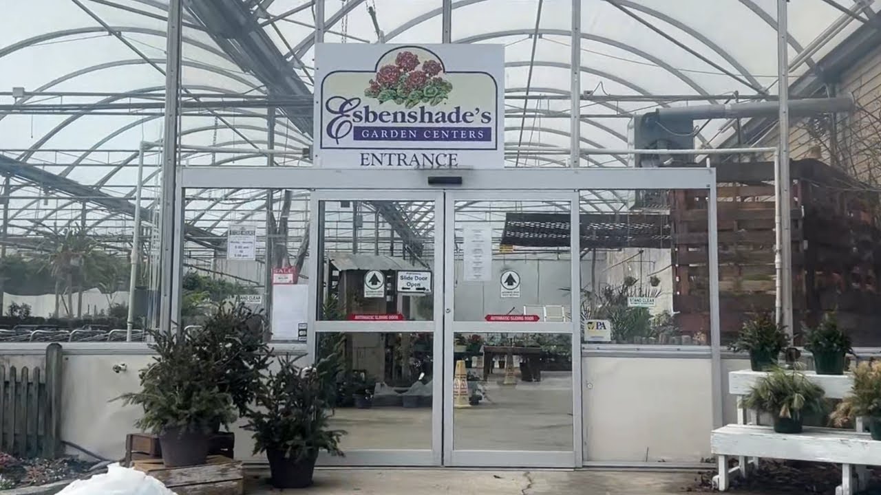 Houseplant Section Tour! Chill Plant Shopping