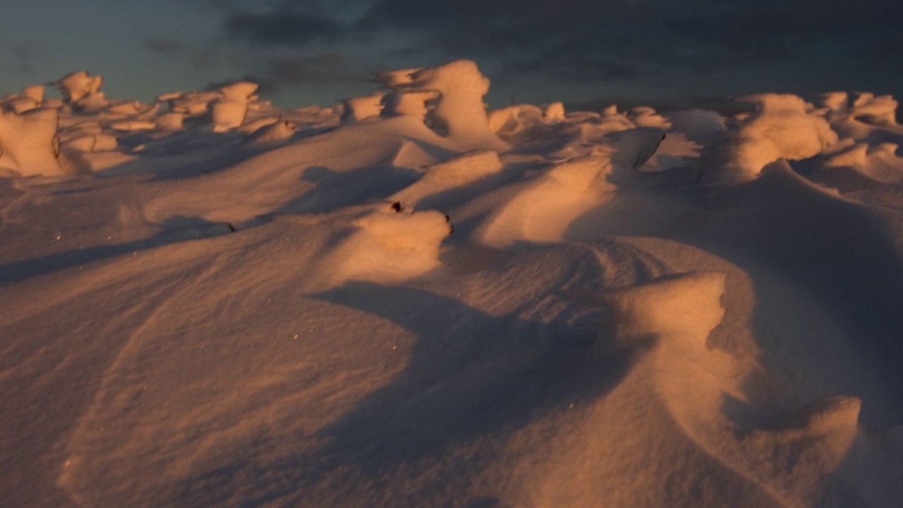 Heart of sunrise ,  Eddi Arnold…Soloflügelhorn und Trompete