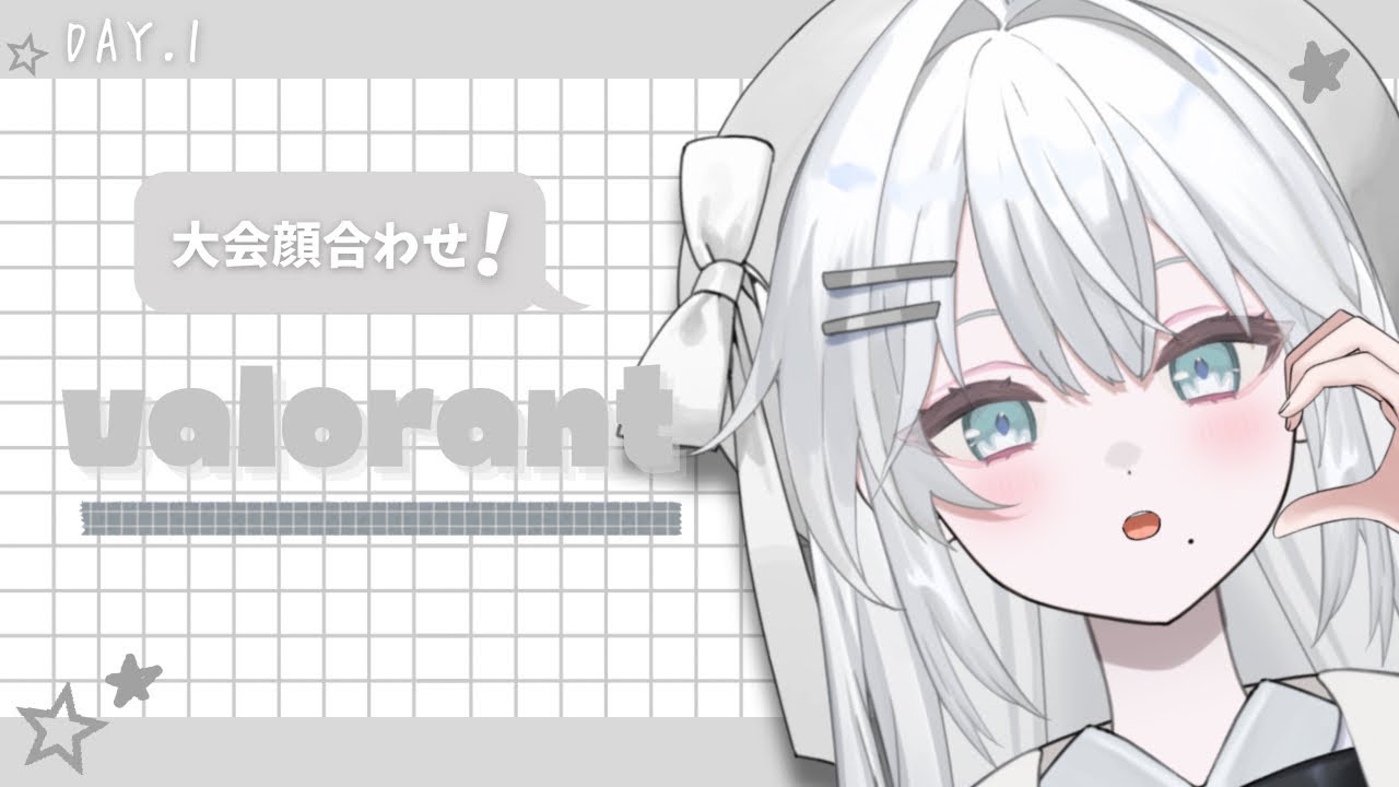 〖 #valorant 〗締め切りチーム大会顔合わせしますの巻 .ᐟ  ￤#こはくるーむ