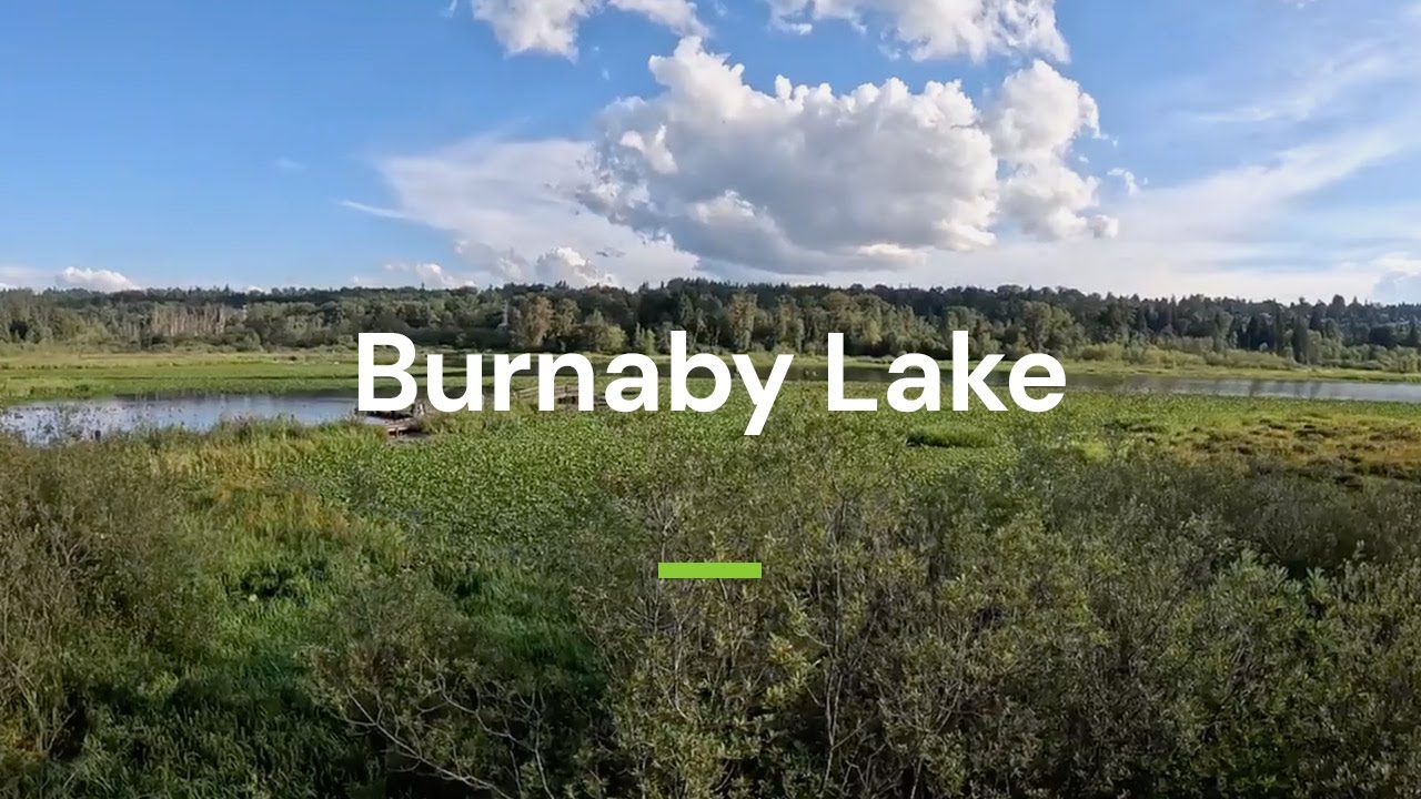 Burnaby Lake - Rowing Pavilion, Cariboo Dam, Nature House Views - Vancouver Trails