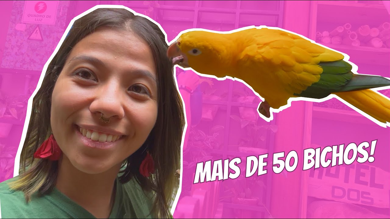 🦎 ROTINA DE UMA BI&Oacute;LOGA: Cuidando de 50+ Animais Ex&oacute;ticos! 🐢