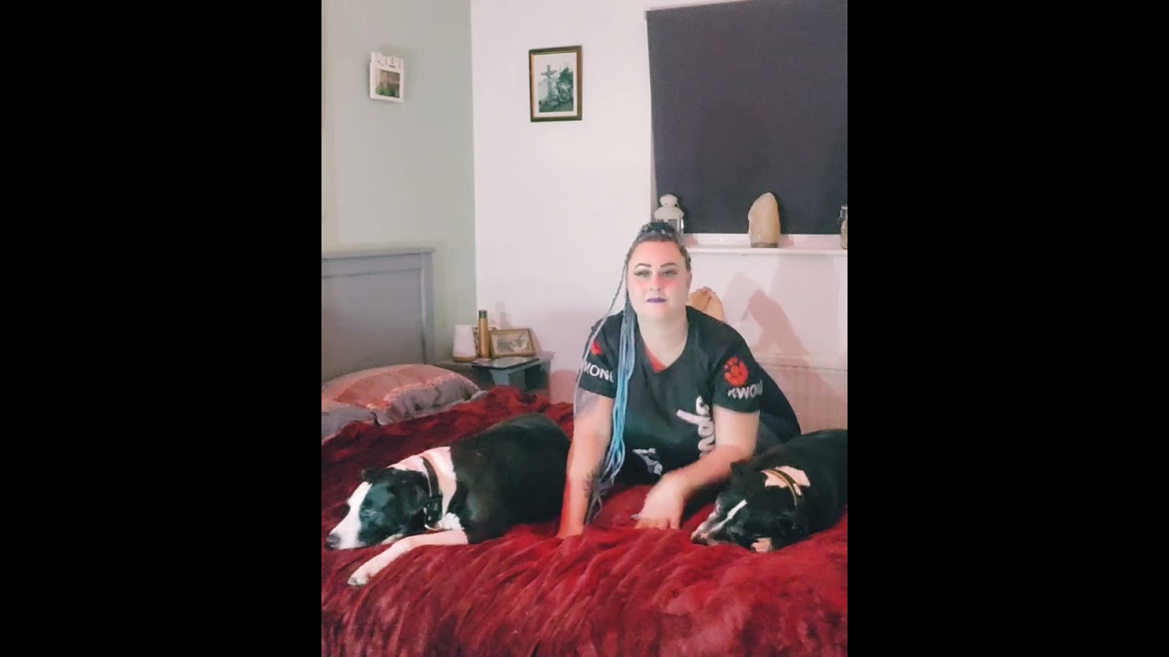 #yoga #dog #yogainspiration #live #live #happy #video #youtubeshorts #youtube #shorts #shortvideo #i