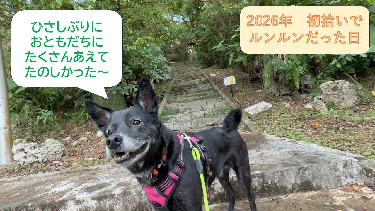【ワンワンゴミ拾い】2026年初拾い　たくさんの友達にあえて　嬉しかった日