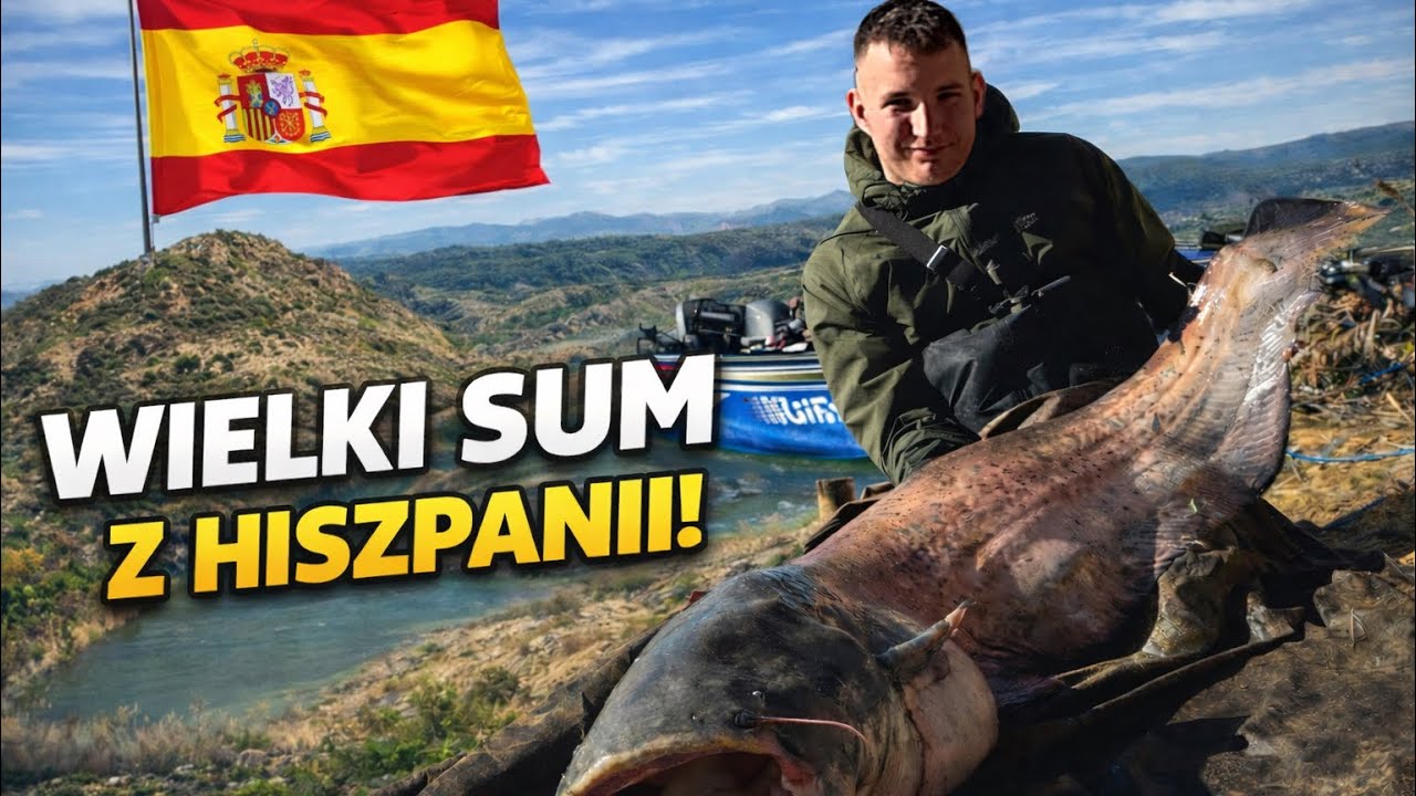 ŁOWIMY SUMY NA SPINNING (RZEKA EBRO)
