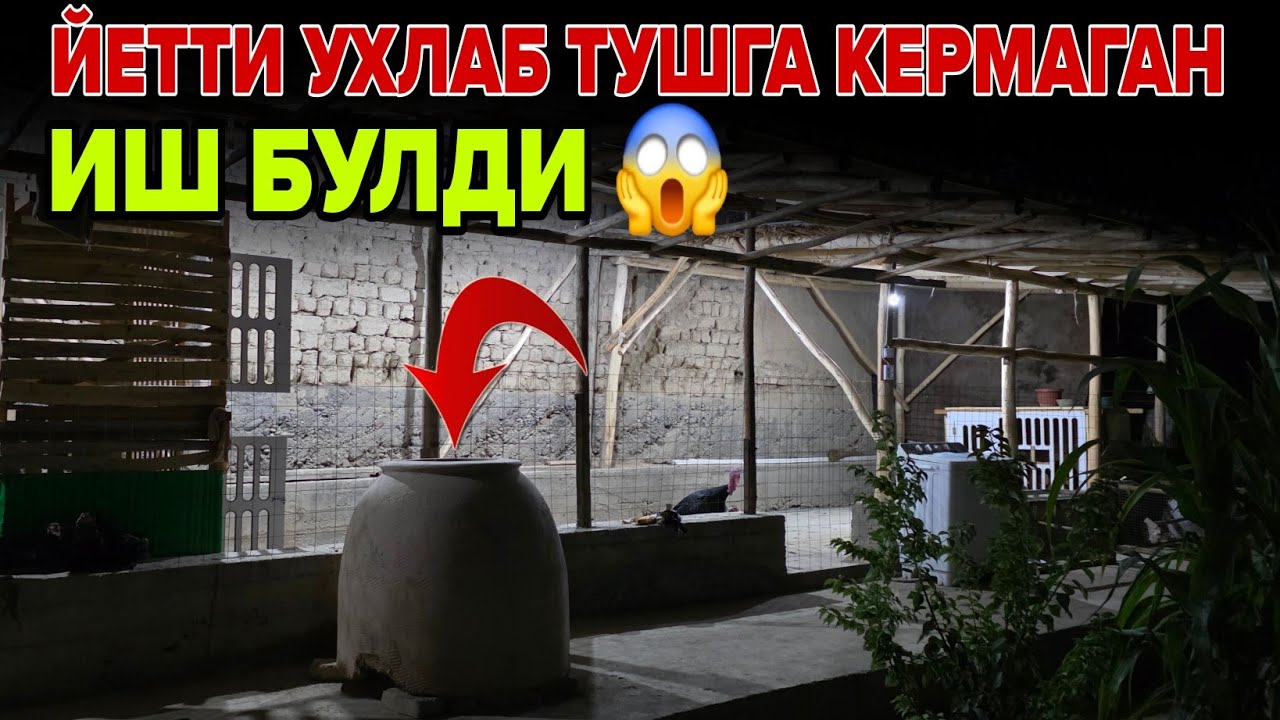 УЗБДА ШУК ЯНГИЛИК БУ НОНЛАРНИ КУТМАГАН ЭДИЛАР ХАММАНИ ХАЙРАТГА СОЛГАН 280.ГР