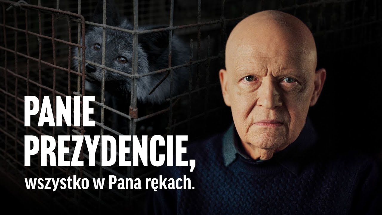 Jan Frycz apeluje do Prezydenta - czas zakończyć hodowlę zwierząt na futra!