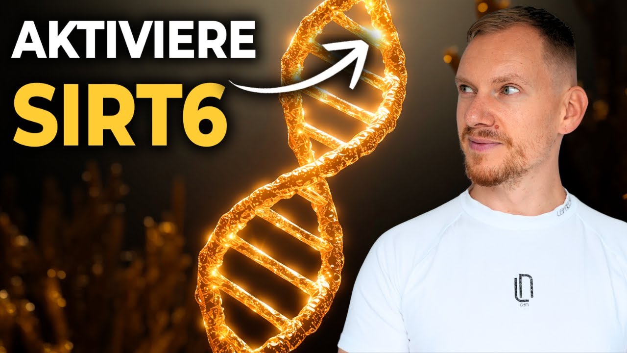 SIRT6: Durchbruch in der Longevity-Forschung?
