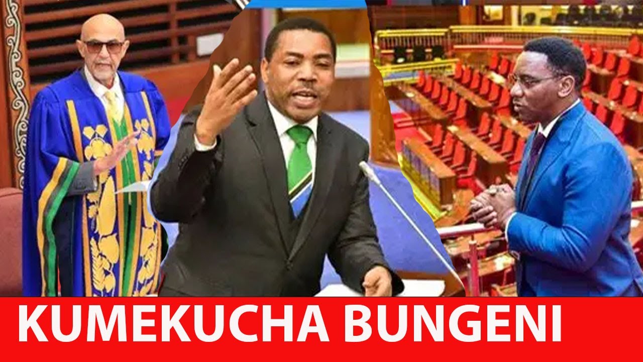 GUMZO WIZARA YA MAKONDA IKIBANWA KUJIBU HOJA ZA WABUNGE, TAZAMA MWAFA AWEKWA KIKANGONI.