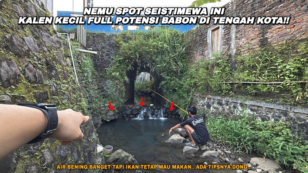 NEMU SPOT SEISTIMEWA INI DITENGAH KOTA PURWOREJO!! Mancing wader teknik kumbul umpan rasbora