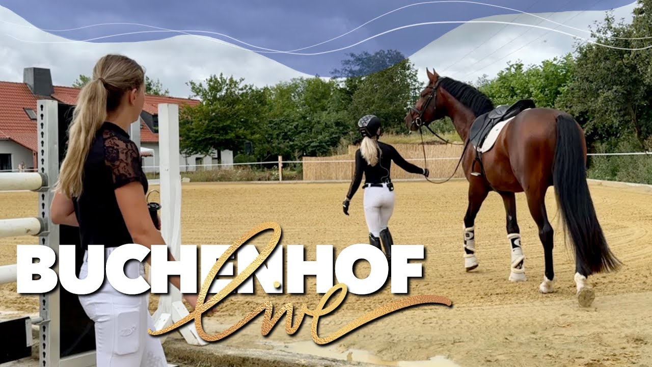 Der schönste Tag des Jahres ❤️ Buchenhof Live 2024