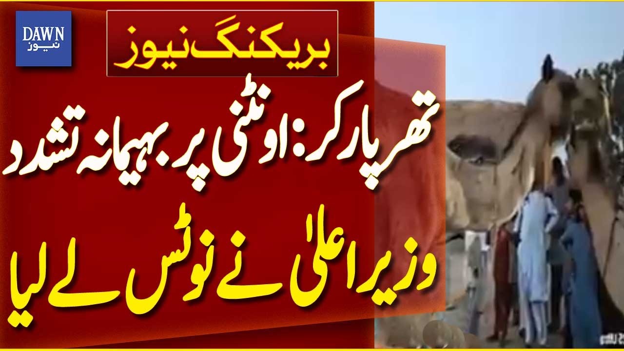 Tharparkar: Brutal Abuse of She-Camel | Chief Minister Takes Notice | Breaking News |Dawn News
