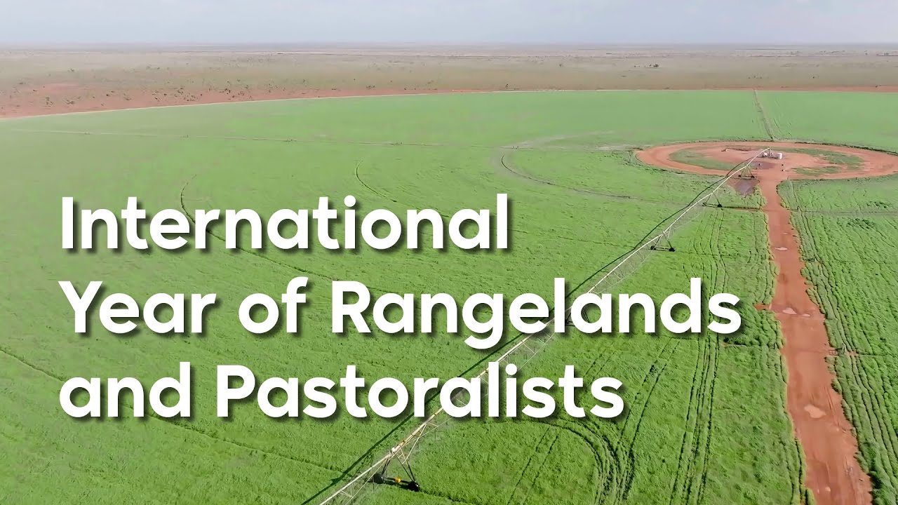 International Year of Rangelands and Pastoralists - 2026