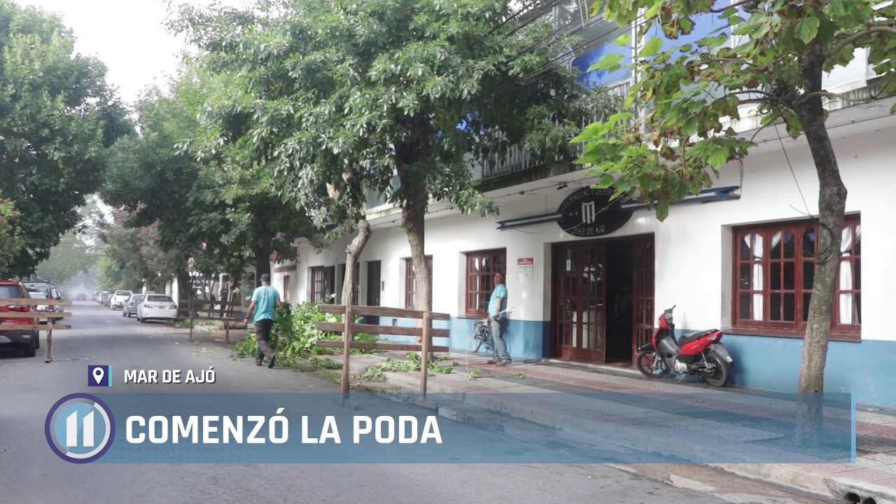 Comenzó la poda sanitaria en distintos barrios de La Costa 🌳✂️