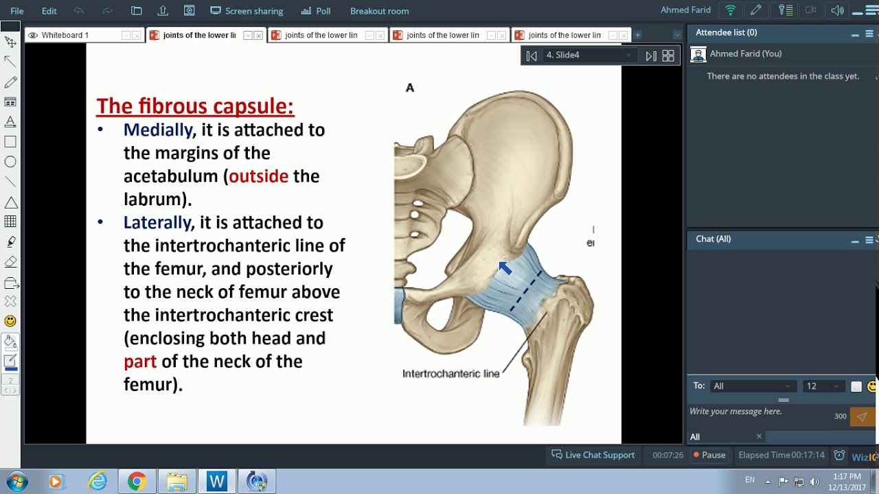 Joints of the Lower Limb (Hip and Knee)-Dr. Ahmed Farid