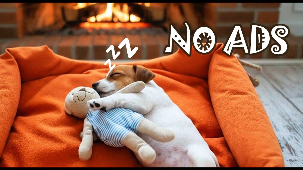 💤 12 Hours NO ADS Dog Music Home Alone to Reduce Crying & Restlessness