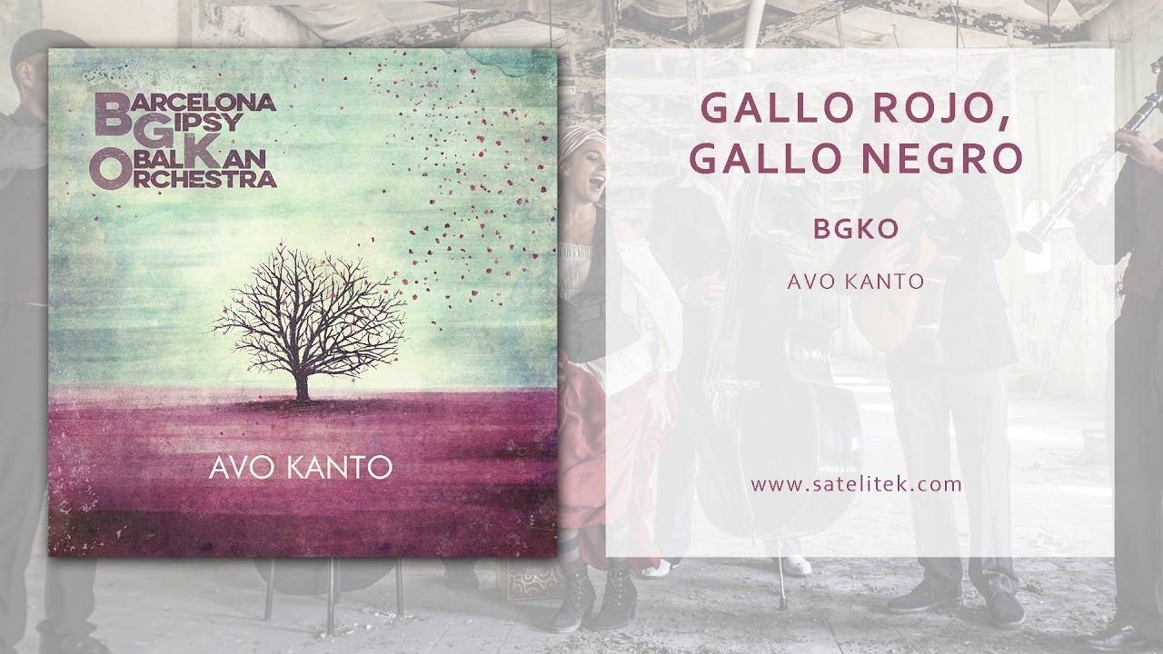 Barcelona Gipsy balKan Orchestra - Gallo rojo, Gallo negro (Official Single)
