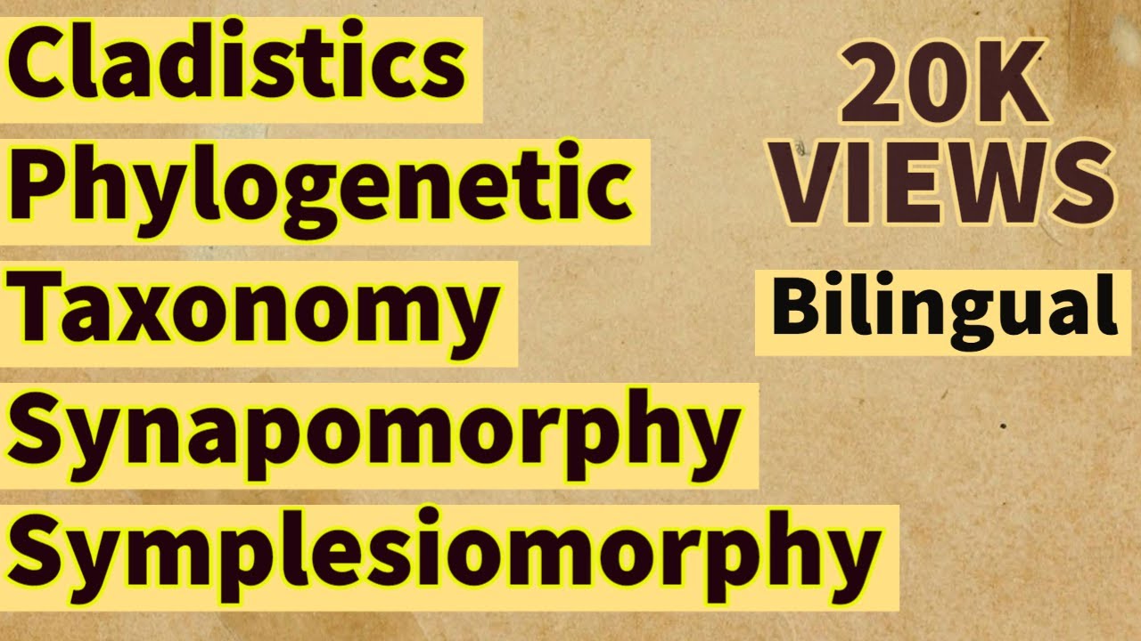 Cladistics | Phylogenetic Taxonomy | Synapomorphy | Symplesiomorphy | CSIR NET Life Sciences