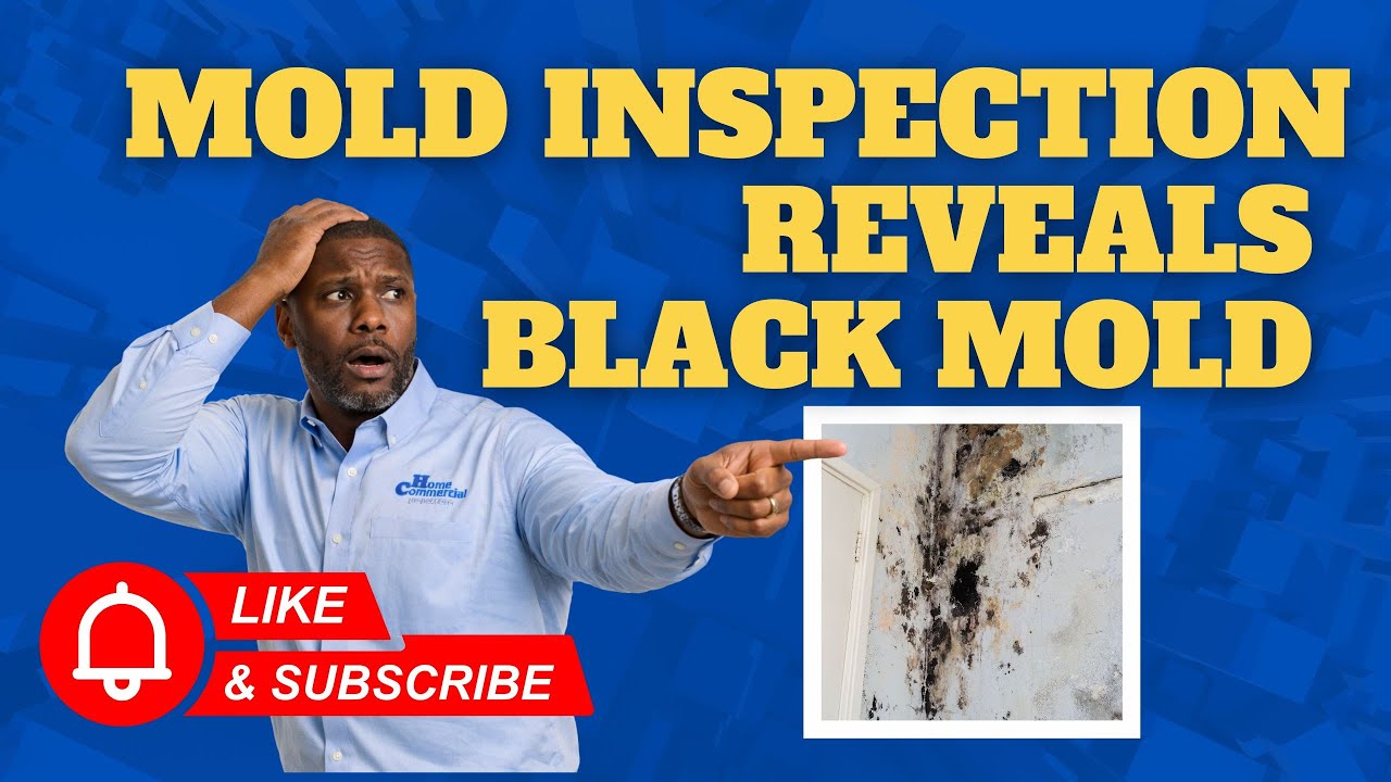 Mold Inspection Reveals Black Mold | Columbus, Ohio Mold Inspection