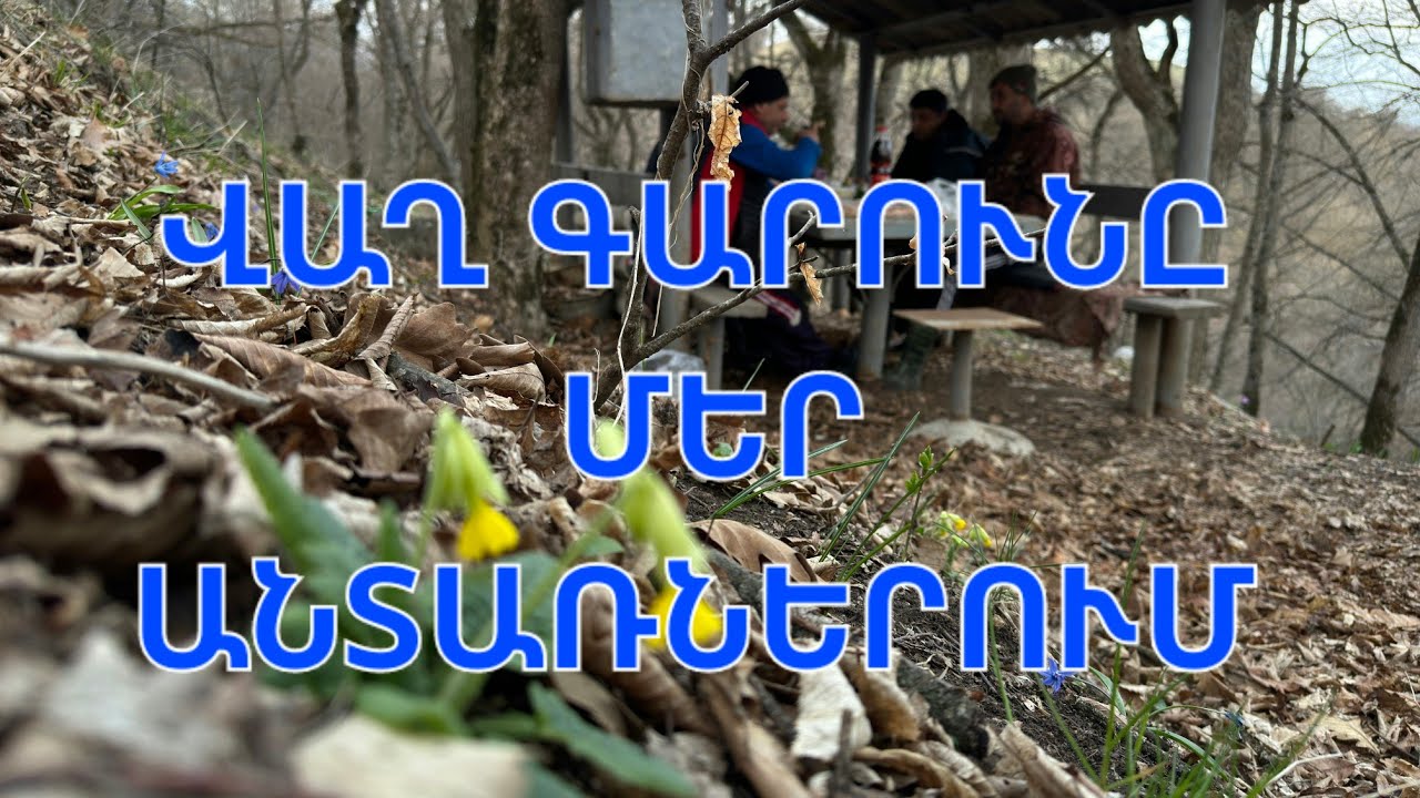 Անտառային զբոսանք
